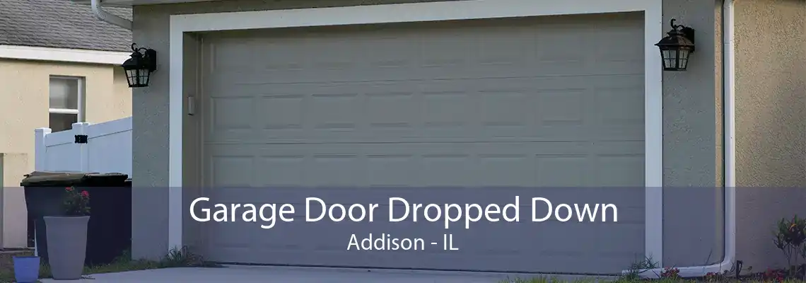 Garage Door Dropped Down Addison - IL