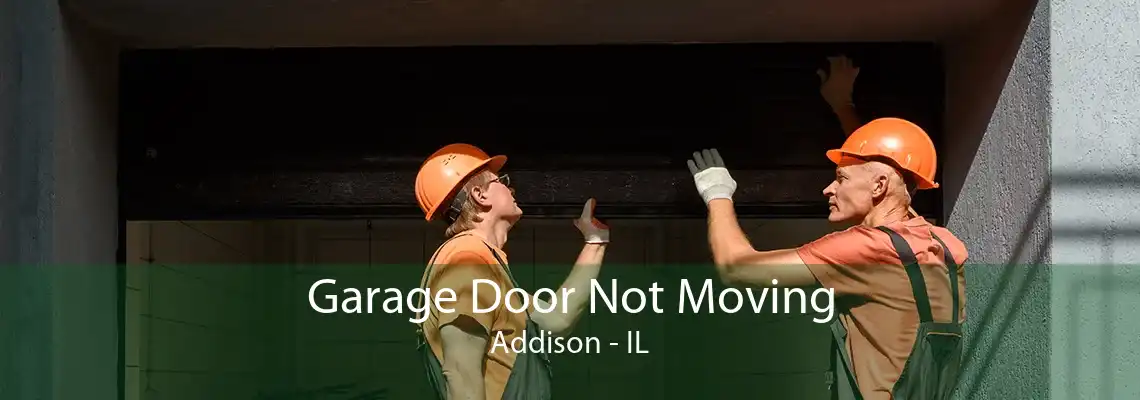 Garage Door Not Moving Addison - IL