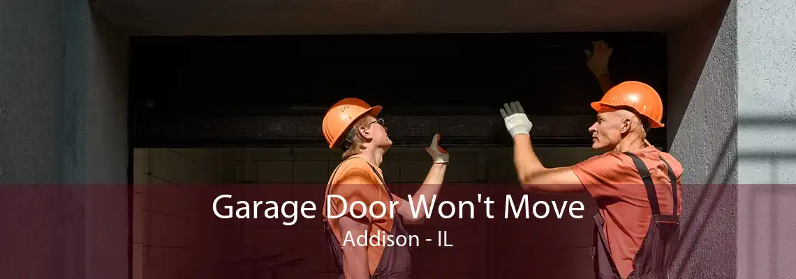 Garage Door Won't Move Addison - IL